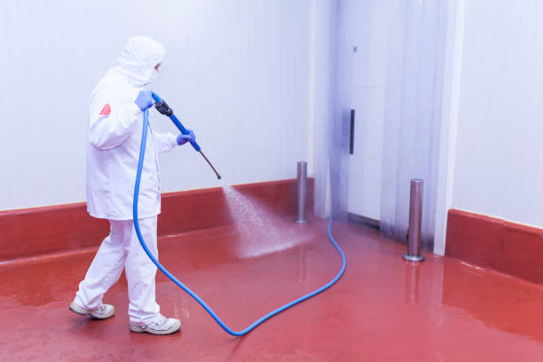 Best Concrete Surface Cleaning in Elkin, NC