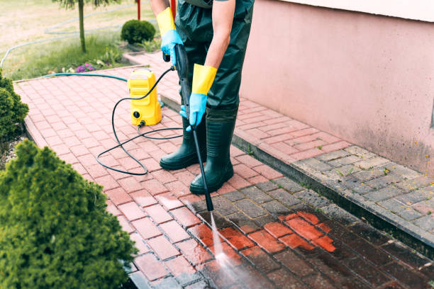 Best Fence Cleaning and Maintenance in Elkin, NC